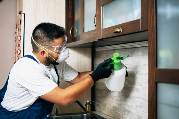 Best Pest Inspection Near Me  in Monticello, KY
