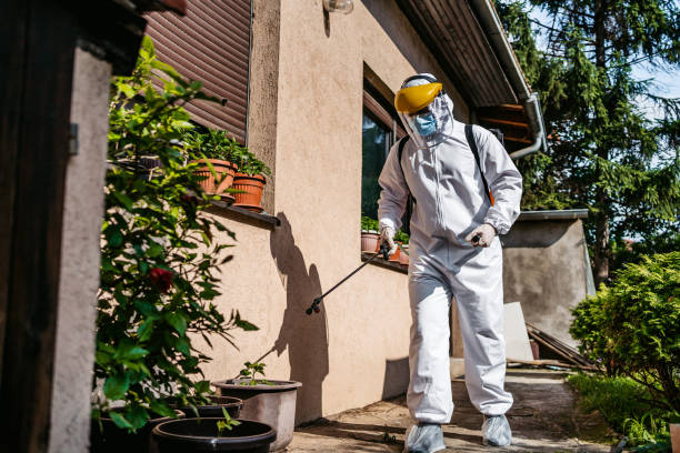 Best Local Pest Control Services  in Monticello, KY