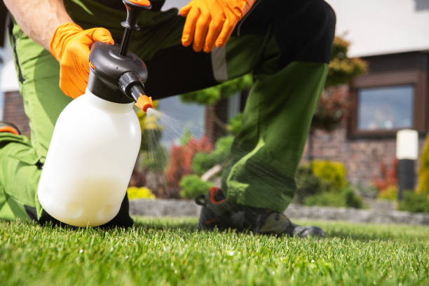 Best Exterminator Services  in Monticello, KY