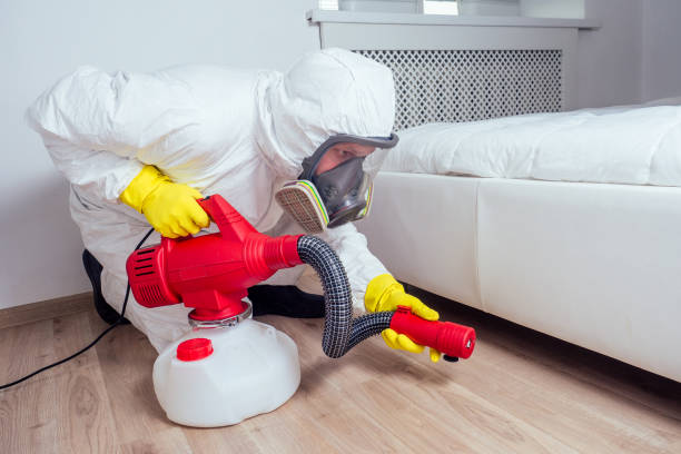 Best Affordable Pest Control Services  in Monticello, KY