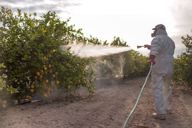 Best Emergency Pest Control  in Monticello, KY