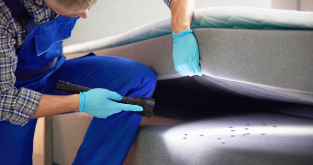 Best Termite Control Services  in Monticello, KY