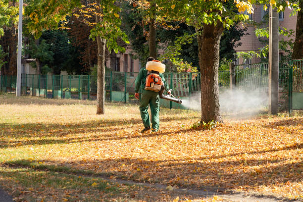 Best Pest Prevention Services  in Monticello, KY