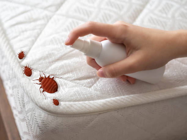 Best Commercial Pest Control Services  in Monticello, KY