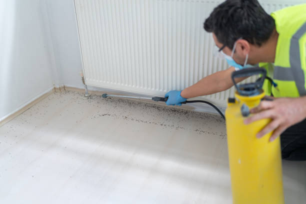 Professional Pest Control in Monticello, KY